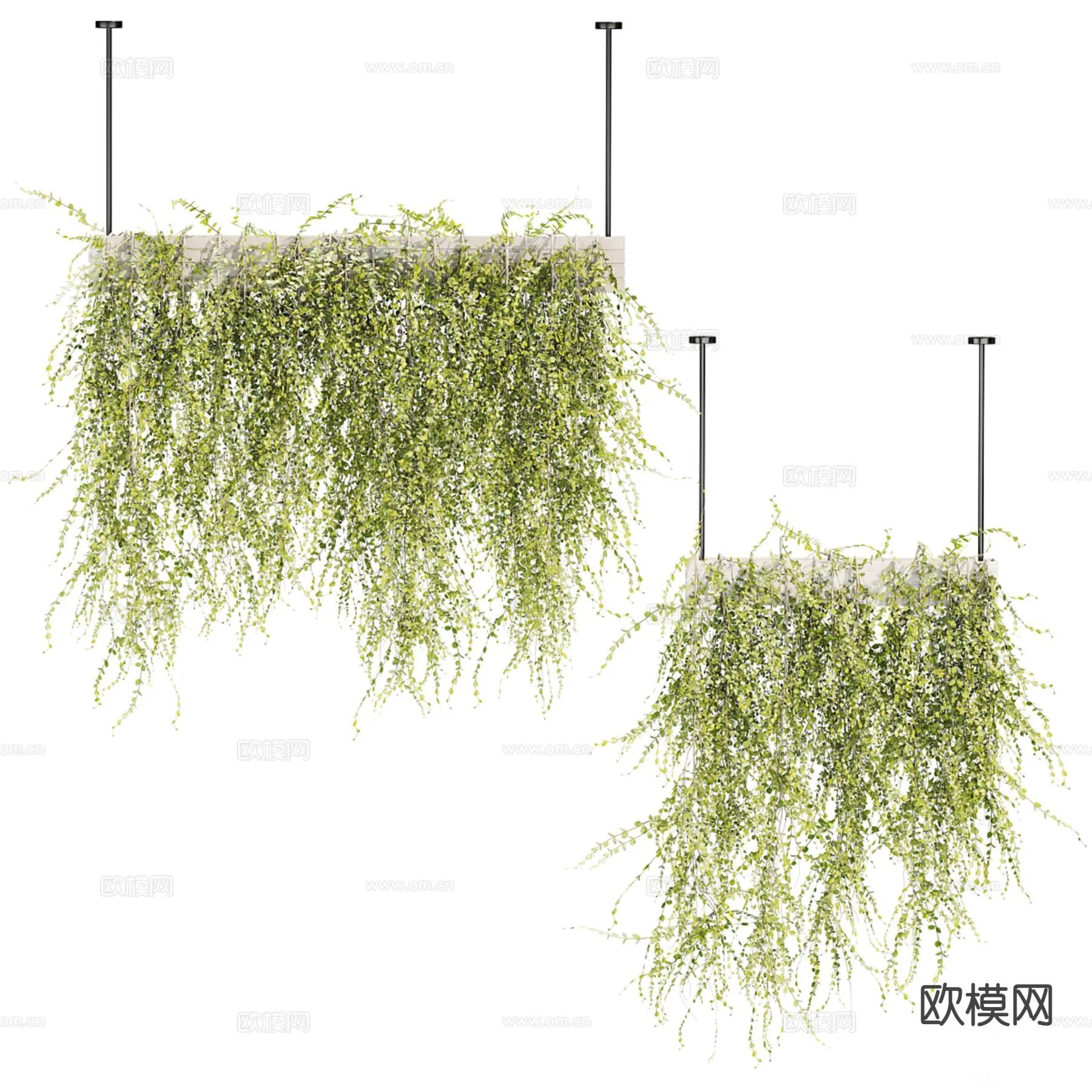 Tree 3D Models - Exterior and Architecture 3DS Max - 325