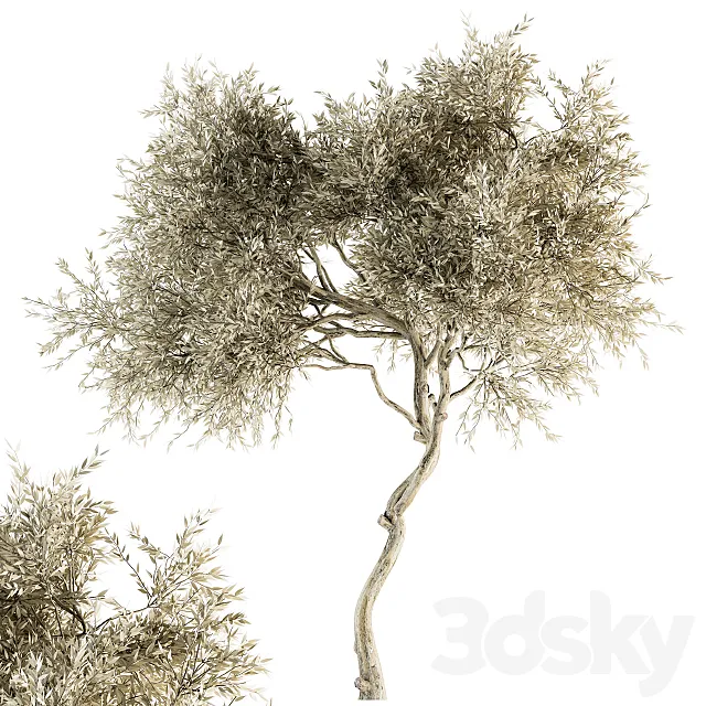 Tree Broadleaf Dried - Set 30 3D Model