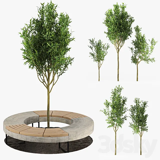 Tree Flowerbed 3D Model