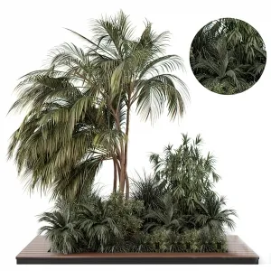 Tree for Exterior 3D Models - 020