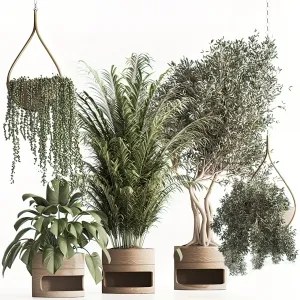 Tree for Exterior 3D Models - 021