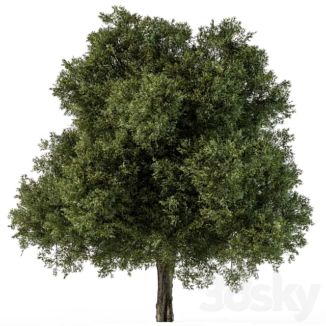 Tree Green Maple - Set 99 3D Model