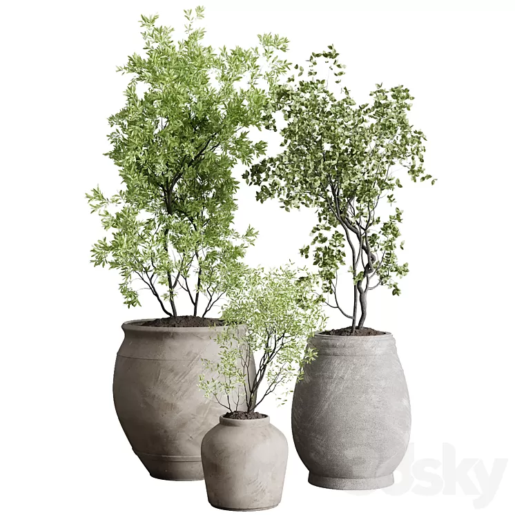 Tree in an Old Earthenware Vase Outdoor Collection 104 3D Model Free