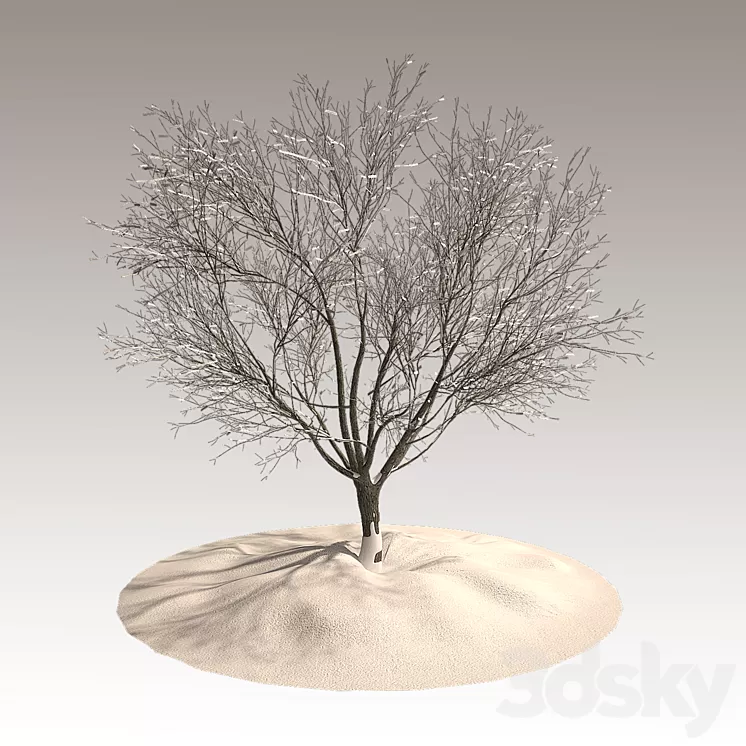 Tree in winter 3D Model