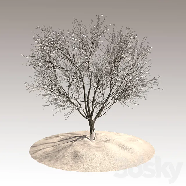 Tree in winter 3DModel