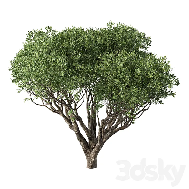 Tree No.89 Free Download