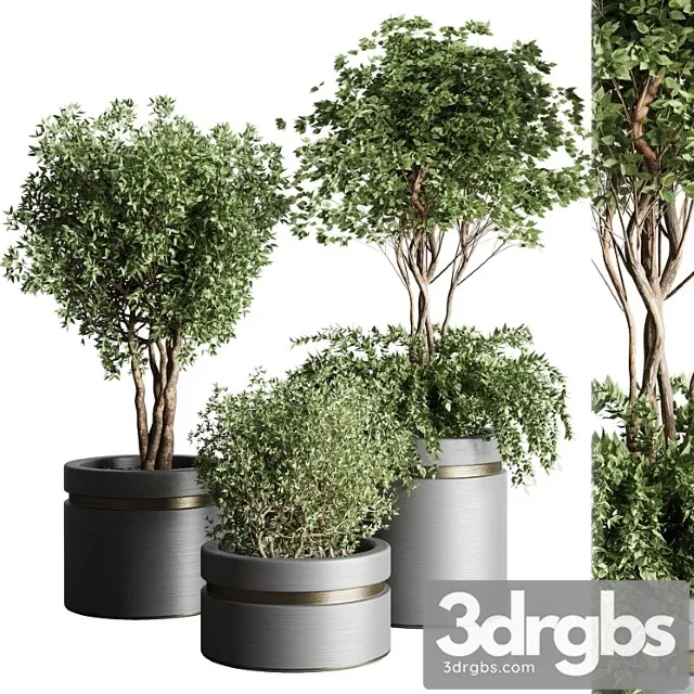 Tree Pots and Shrubs Bush Collection 74 Metal Vase For Outdoor Indoor 3D Model Free