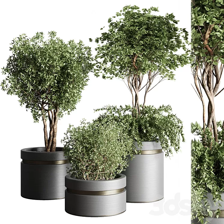 Tree pots and shrubs-bush collection 74 metal vase for outdoor indoor 3D Model Free