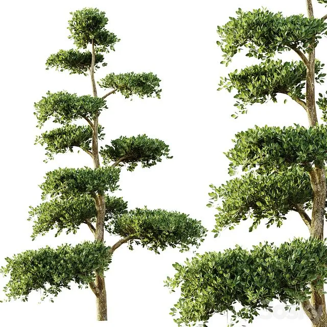 tree set 04 3D Model