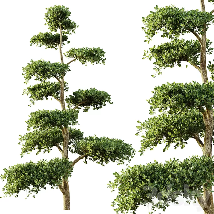 tree set 04 3D Model Free