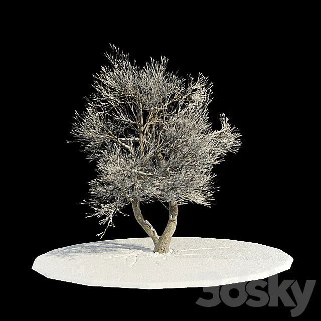 tree-snow v3 _ tree in snow v3 3DModel