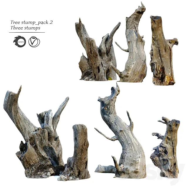 Tree stump _pack_2 3D Model