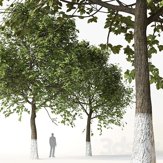 Trees 2 3DModel