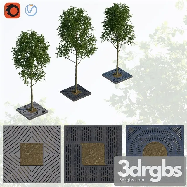 Trees and Lattice 3D Model Free