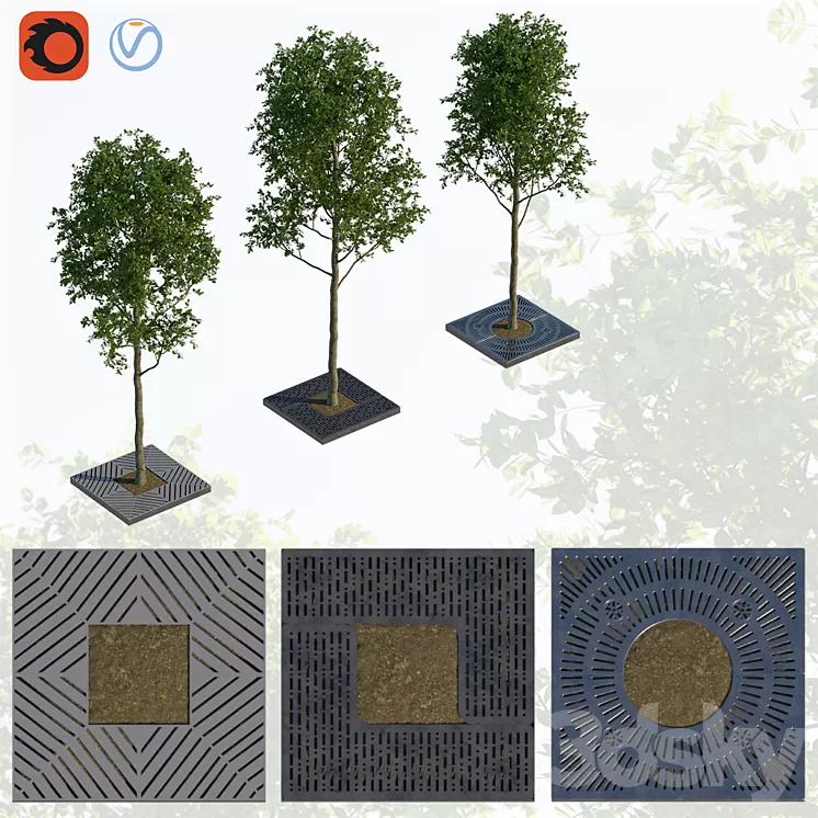 Trees and lattice 3D Model