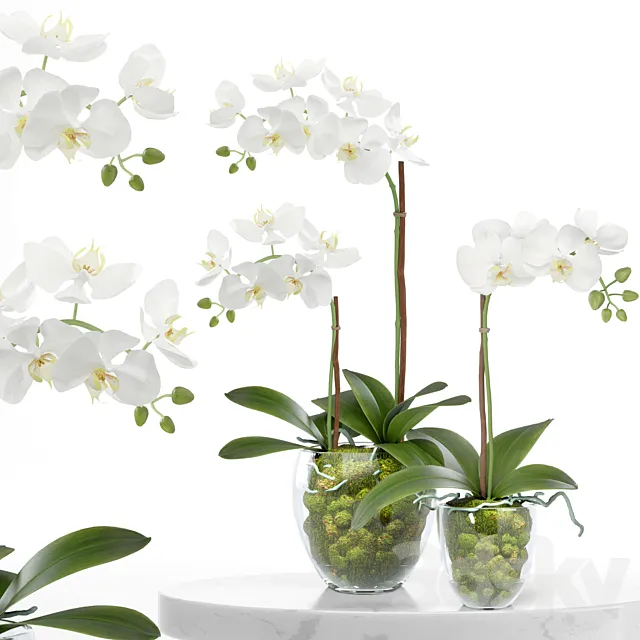 treez plants set 28 3D Model