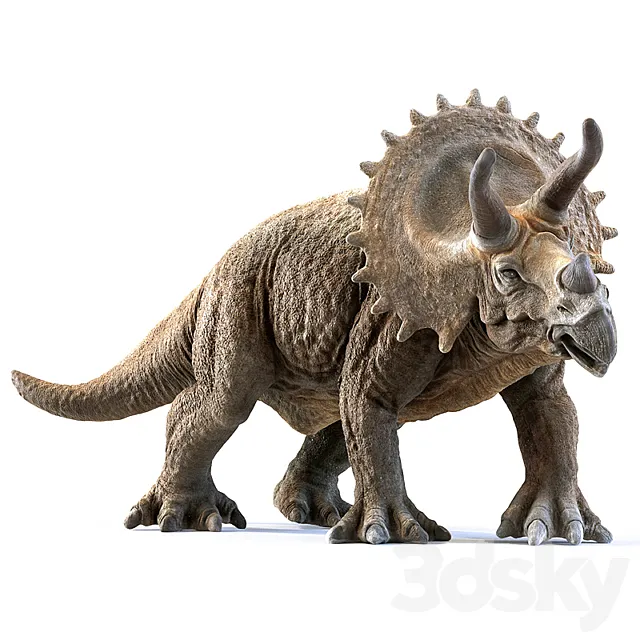 triceratops 3D Model