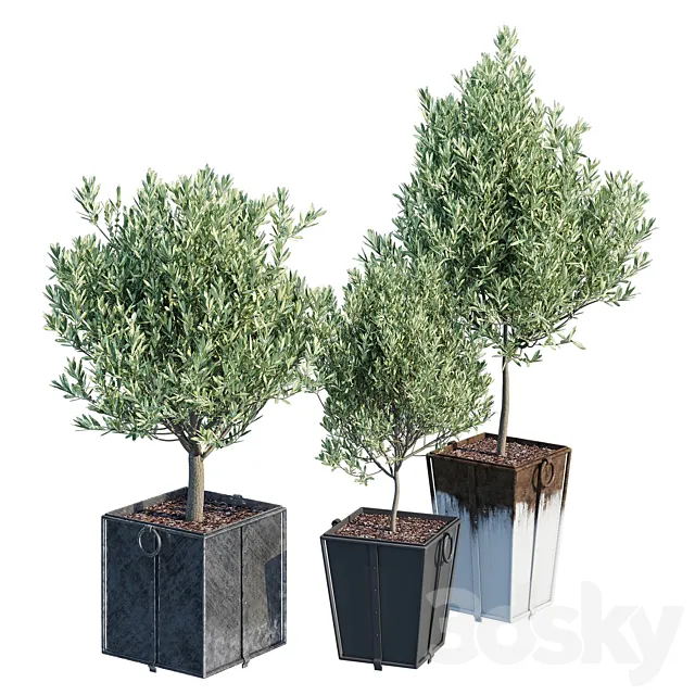 Trinway 3D Model