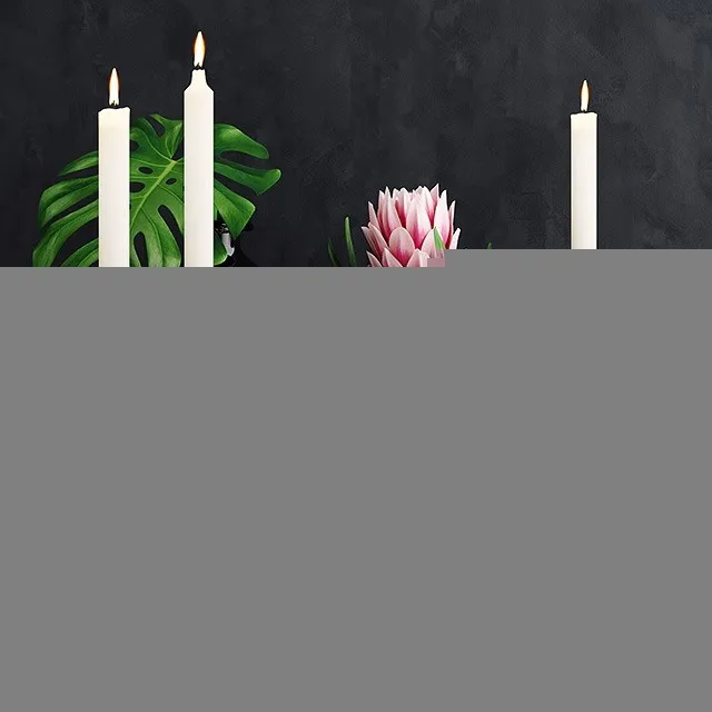 Tropical Cuprum Set 3D Model Free