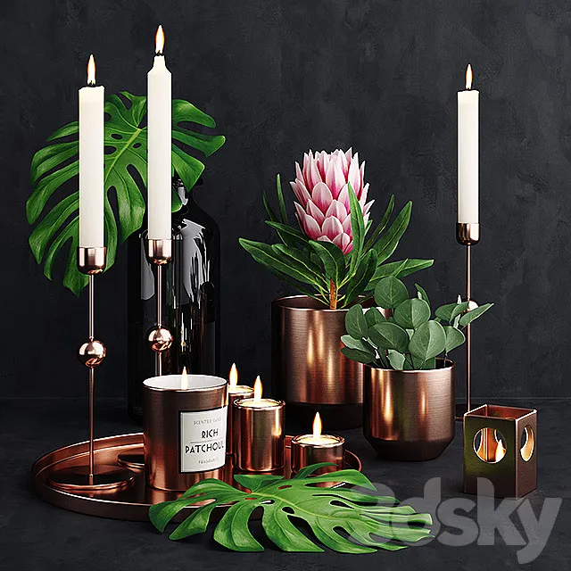 Tropical Cuprum Set 3DModel