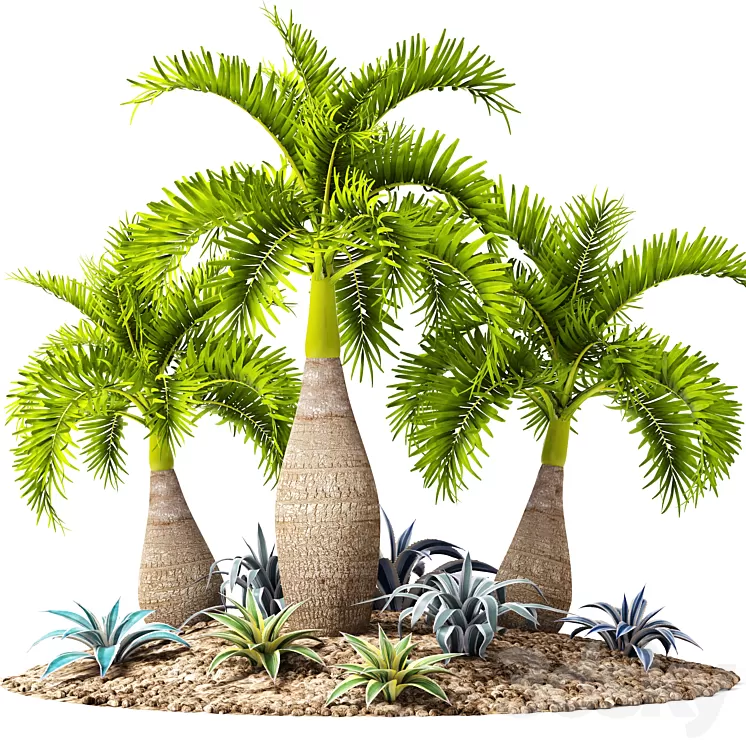 Tropical garden flowerbed landscaping agave thicket tropical exotic palm 3D Model