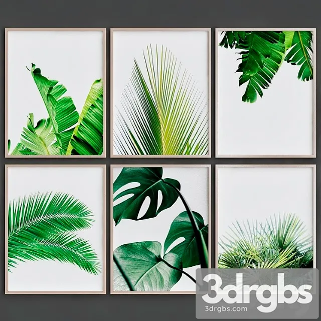 Tropical leaves 3D Model Free