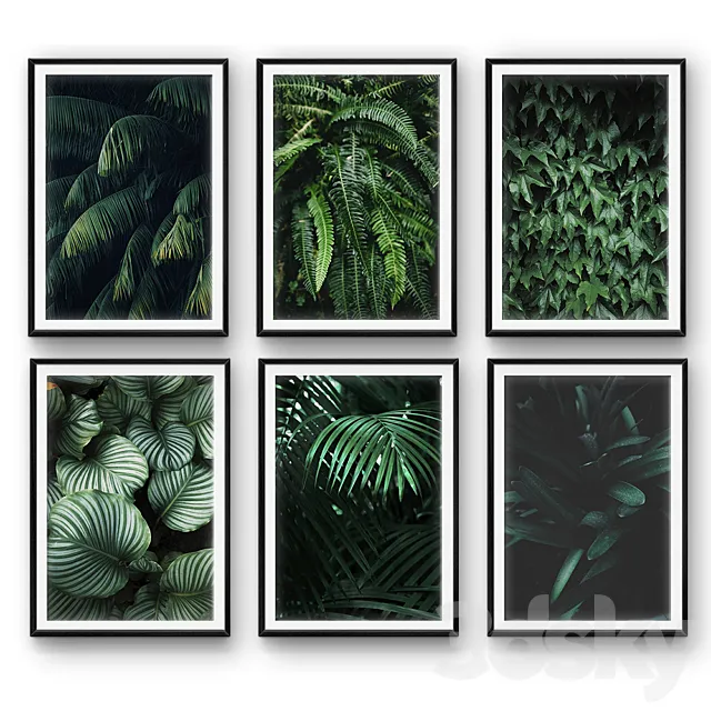 Tropical leaves | set 26 3DModel