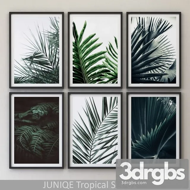 Tropical Set 1 Framed 3D Model Free