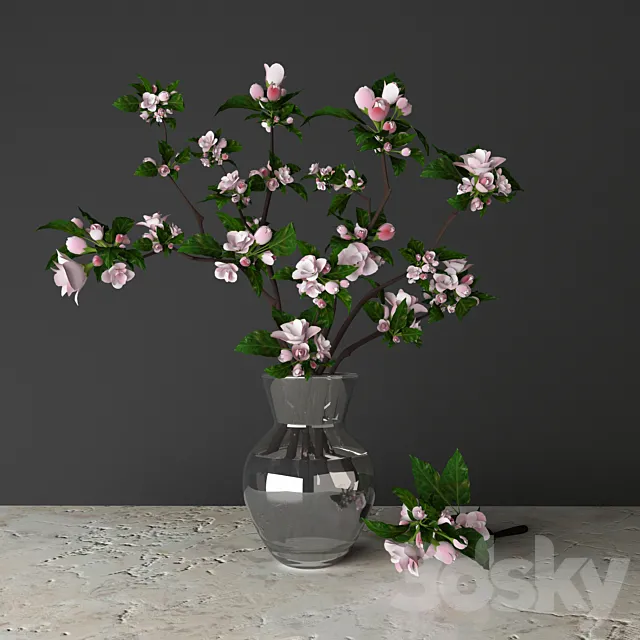 tsyvety apple 3DModel