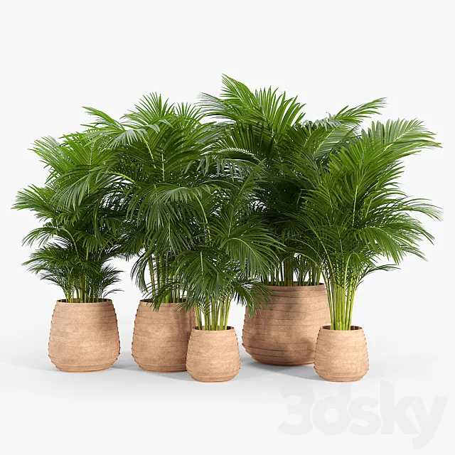 Tula Planter Collection 3D Model