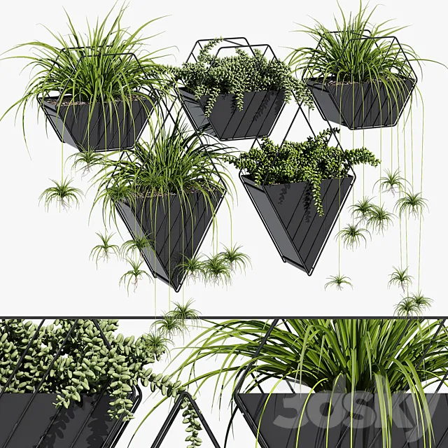 Tulan hanging planter 3D Model