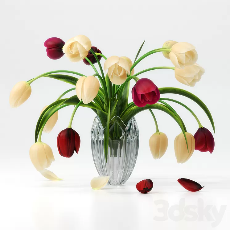 TULIP 1