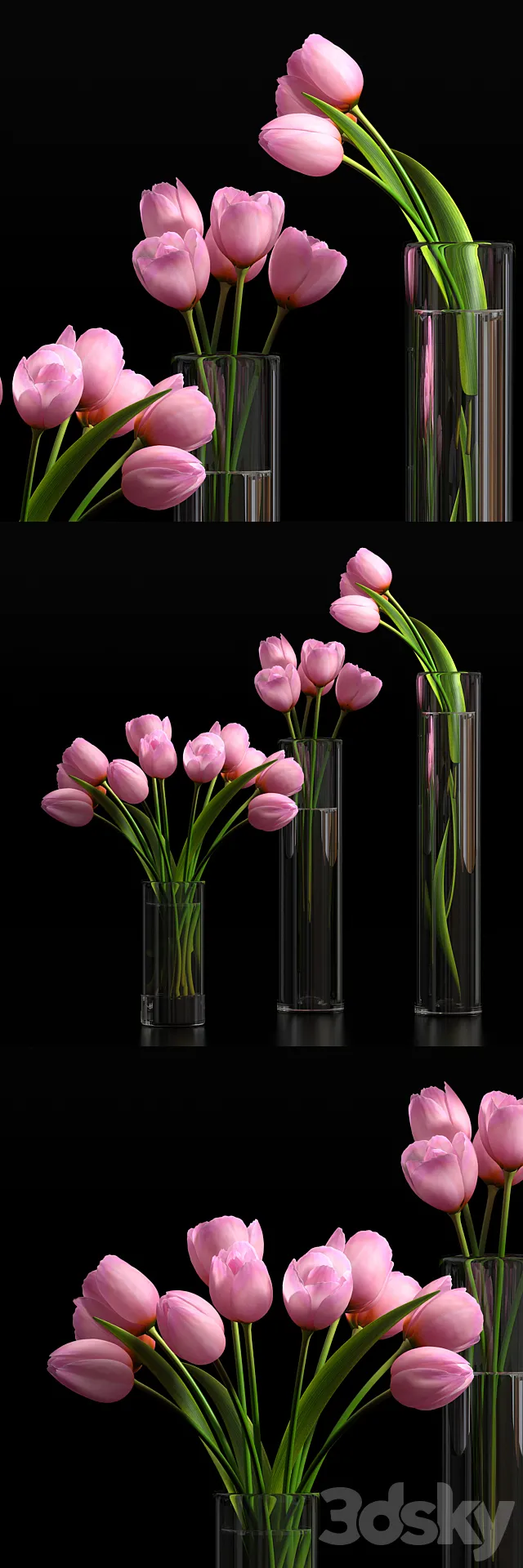TULIP 5 3DModel