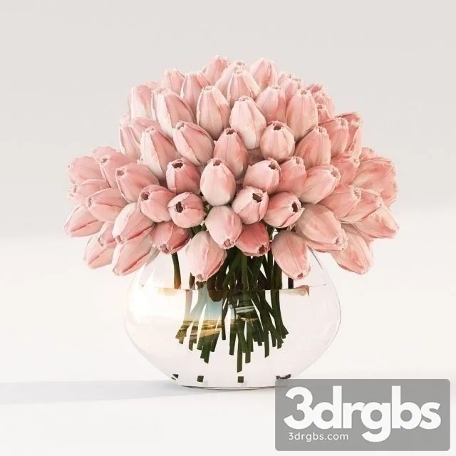 Tulip Bouquet Big 3D Model Free