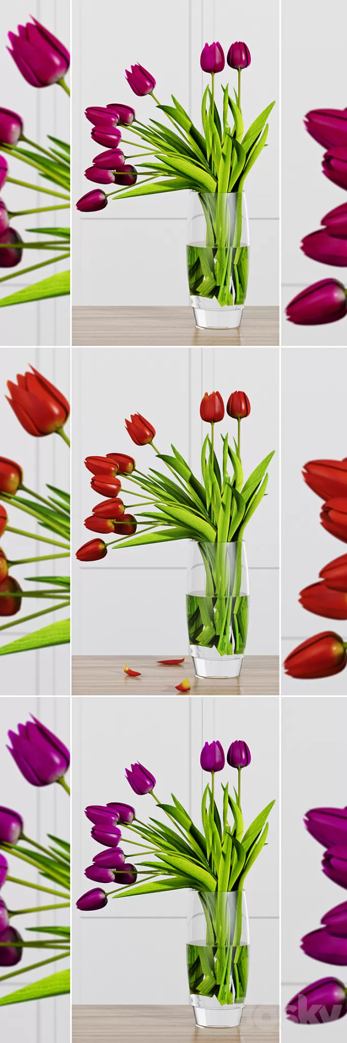 TULIP FLOWERS 3D Model