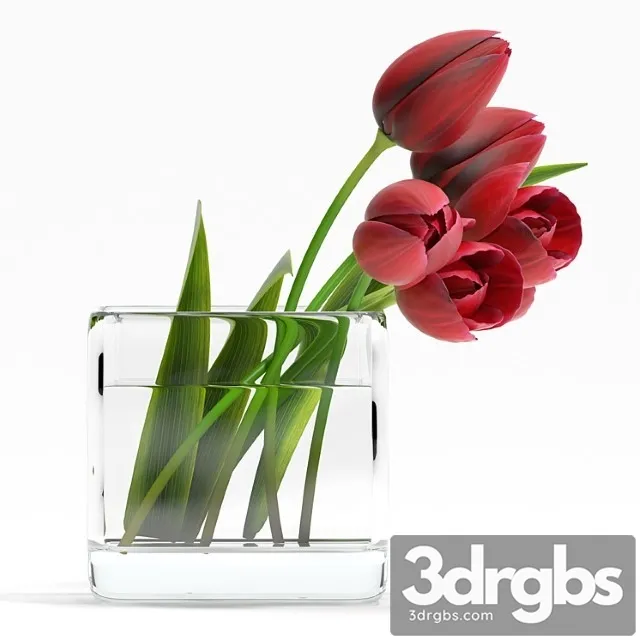 Tulip4 3D Model Free