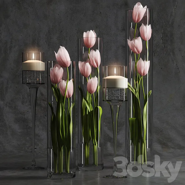 Tulips 2 3DModel