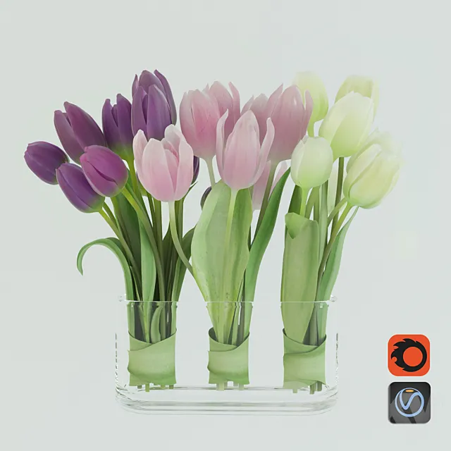 Tulips 3DModel