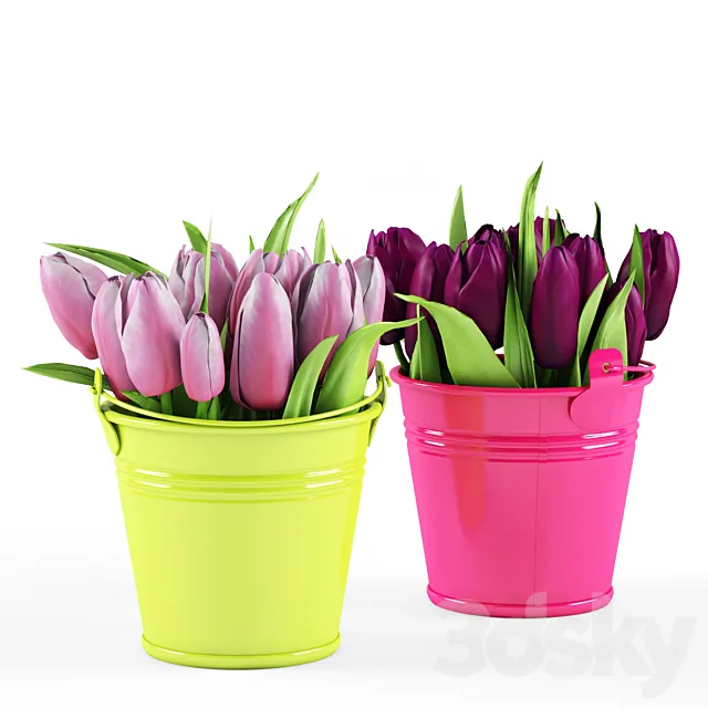 Tulips 3DModel