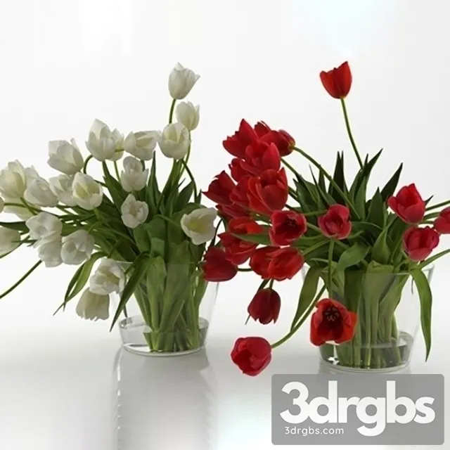Tulips Bouquet 1 3D Model Free