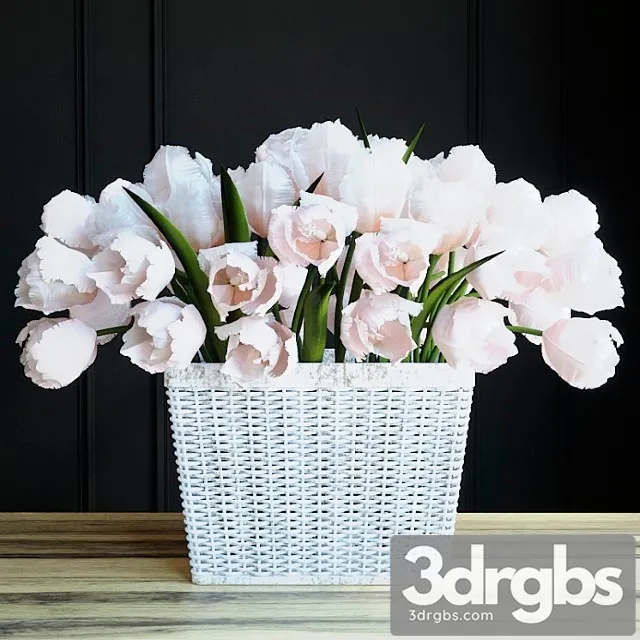 Tulle Paniya In Basket 3D Model Free