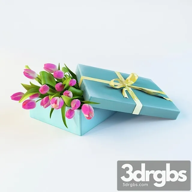 Tulle Paniya In Box 3 3D Model Free