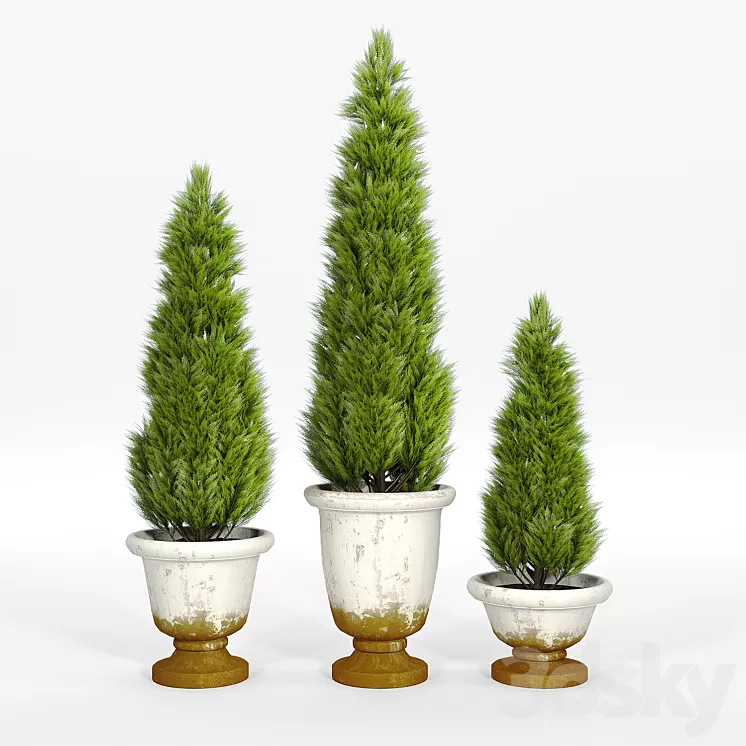 Tuscan planters 3D Model