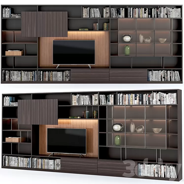 TV zone Molteni 505 wall system 3D Model