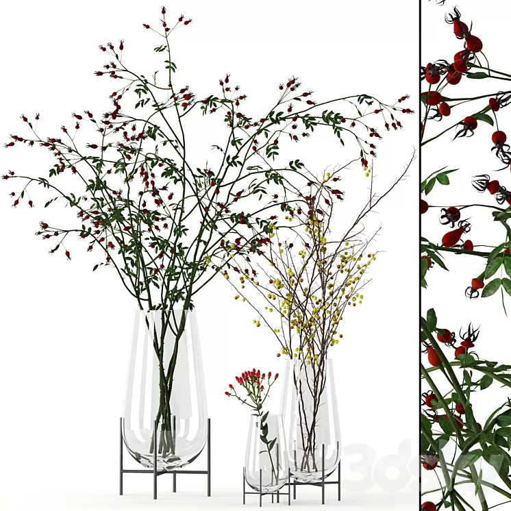 Twigs in Echasse Vases 3D Model