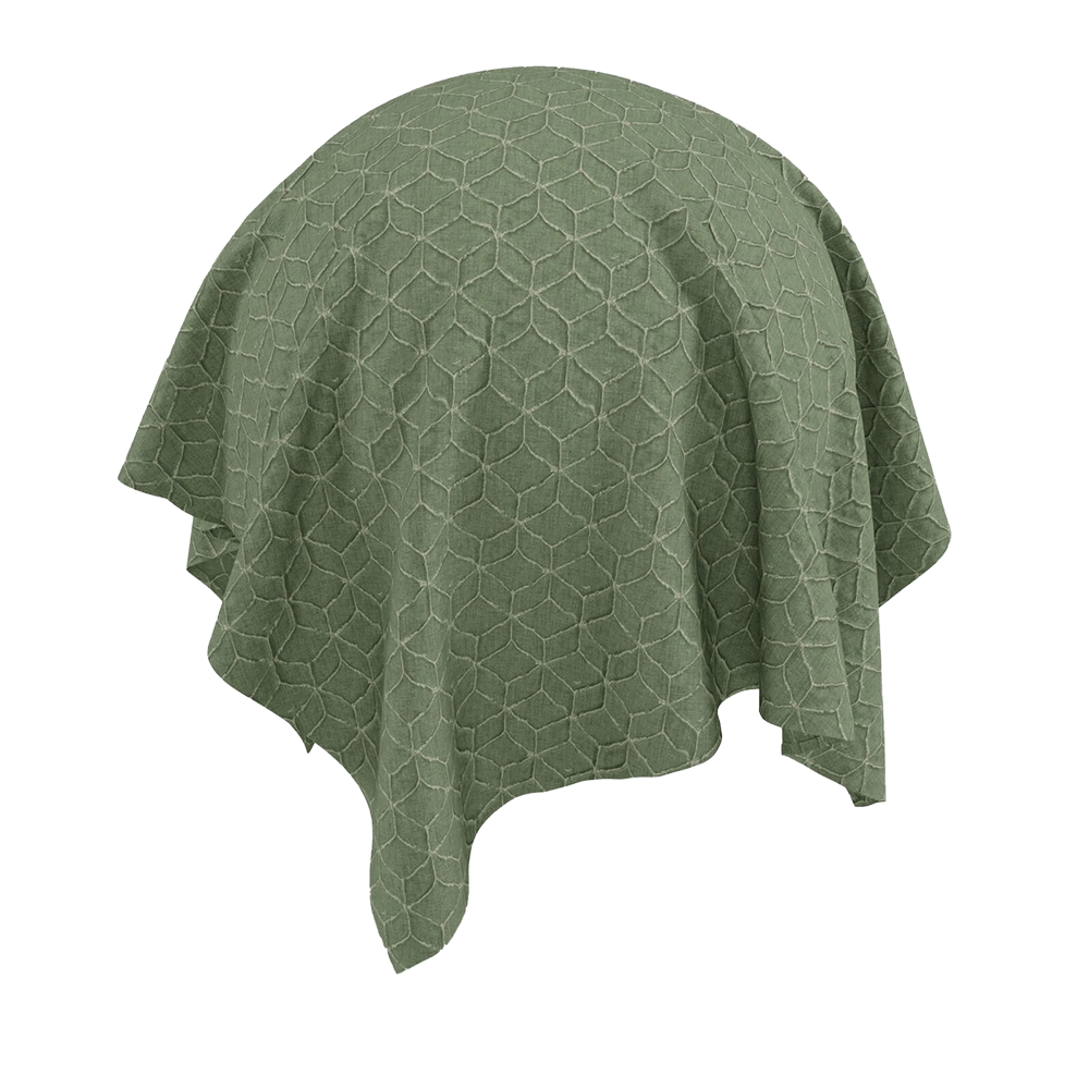 Twinbru - Geometric Green Jacquard 3779885 3D Model