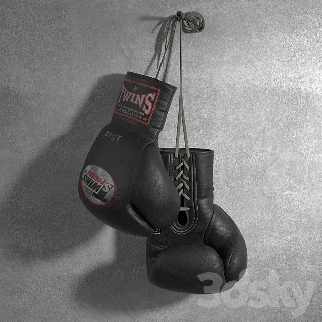 Twins Special 3DModel