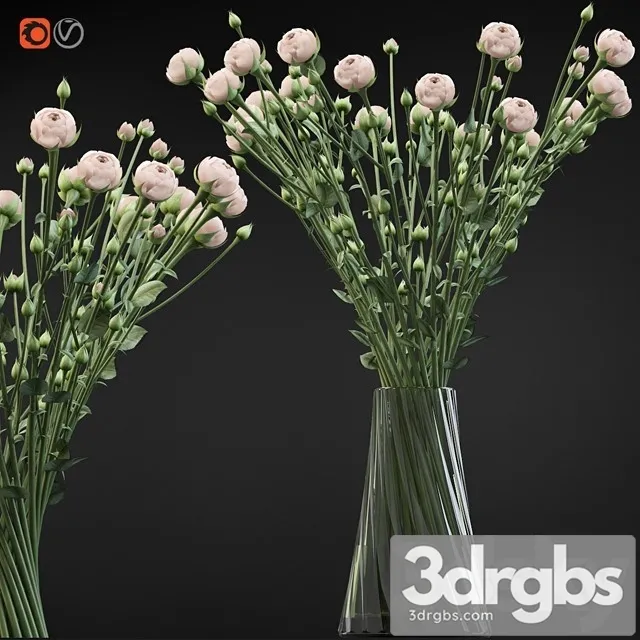 Twist Bouquet of Small Beige Shrub Roses 3D Model Free
