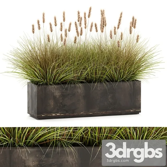 Ulichnyi Metallicheskii Gorshok V Kustami Pampasnaia Trava Vazon Klumba Kamysh 905 3D Model Free