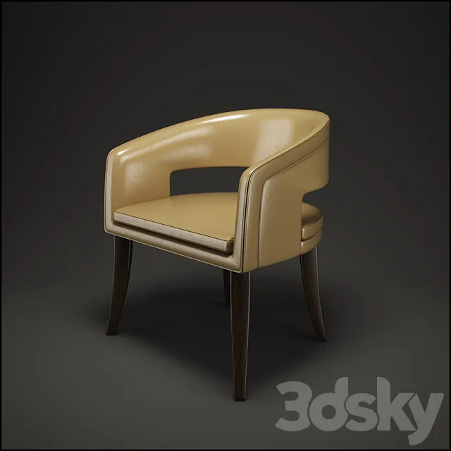 Ulivi Family chair 3D Model